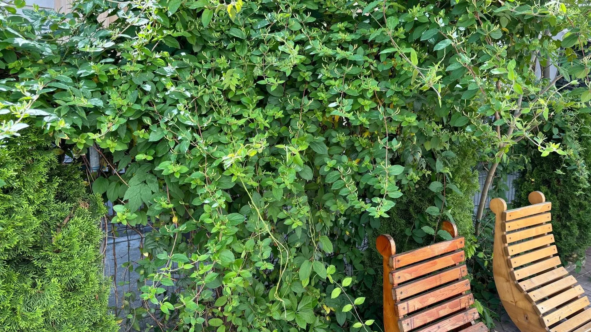 Piata Uniri Cozy Inn Bucharest
